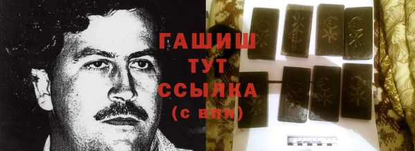 спиды Пересвет