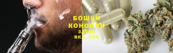 2c-b Пестово