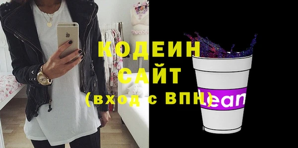 спиды Пересвет