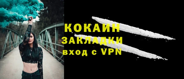 2c-b Пестово