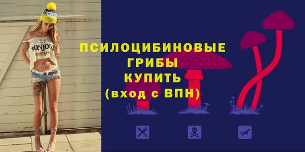 2c-b Пестово