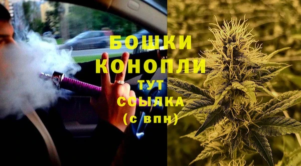 спиды Пересвет