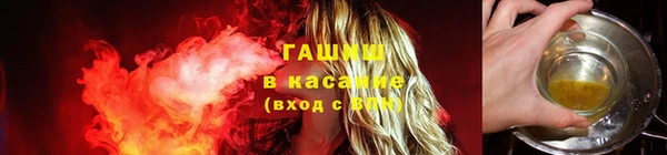 спиды Пересвет