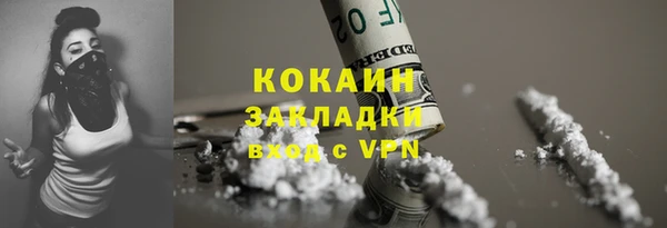 2c-b Пестово