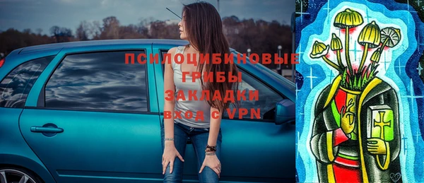 2c-b Пестово