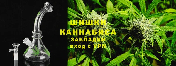 спиды Пересвет