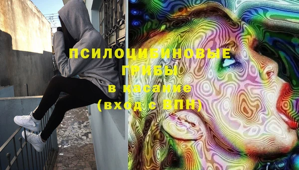 стафф Баксан