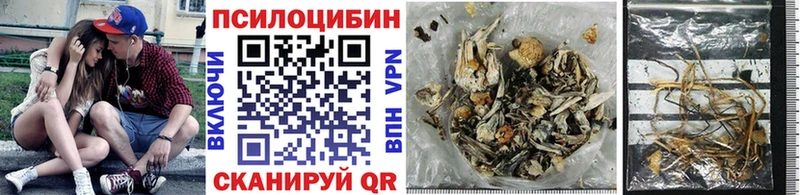 цены Оханск Галлюциногенные грибы Psilocybine cubensis
